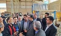 بازدید میدانی معاون وزیر صمت از واحدهای صنعتی استان قزوین