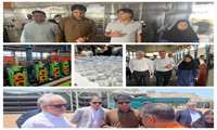 پرداخت تسهیلات به ۲۹ طرح تولیدی صادرات گرای سواحل مکران سیستان و بلوچستان